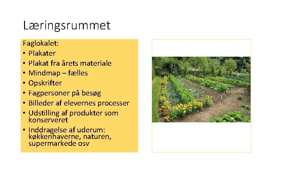 Læringsrummet Faglokalet: • Plakater • Plakat fra årets materiale • Mindmap – fælles •