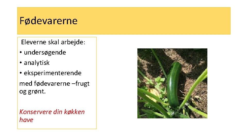 Fødevarerne Eleverne skal arbejde: • undersøgende • analytisk • eksperimenterende med fødevarerne –frugt og