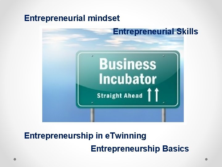 Entrepreneurial mindset Entrepreneurial Skills Entrepreneurship in e. Twinning Entrepreneurship Basics 