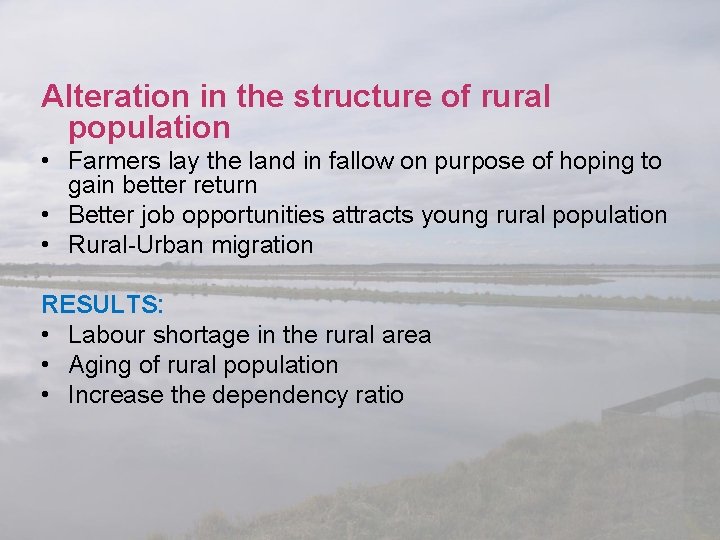 Alteration in the structure of rural population • Farmers lay the land in fallow