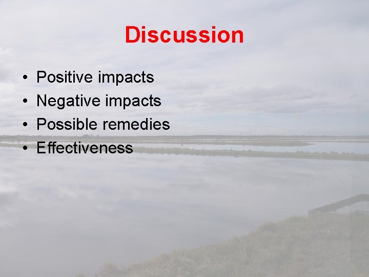 Discussion • • Positive impacts Negative impacts Possible remedies Effectiveness 