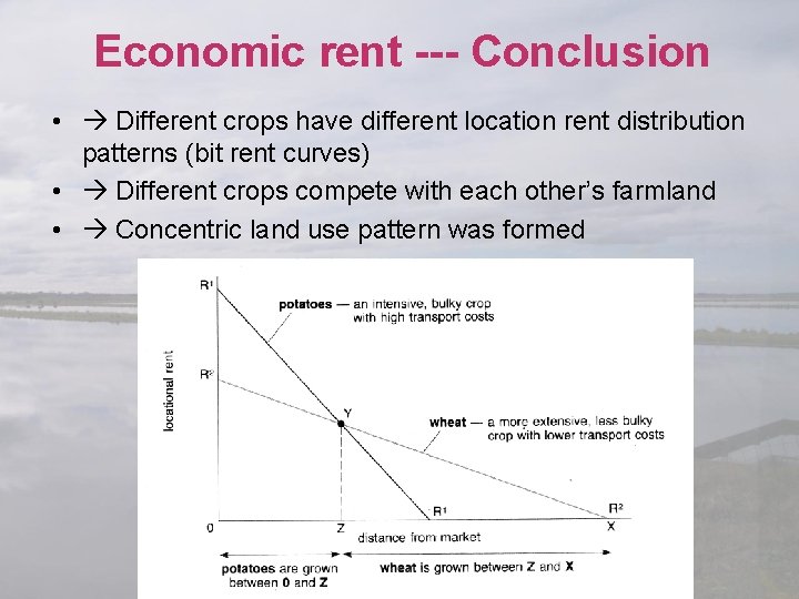 Economic rent --- Conclusion • Different crops have different location rent distribution patterns (bit