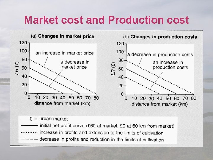 Market cost and Production cost 