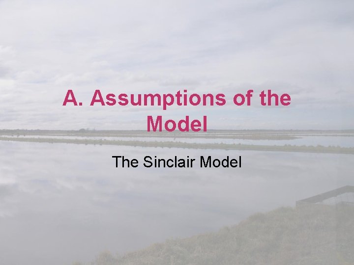 A. Assumptions of the Model The Sinclair Model 