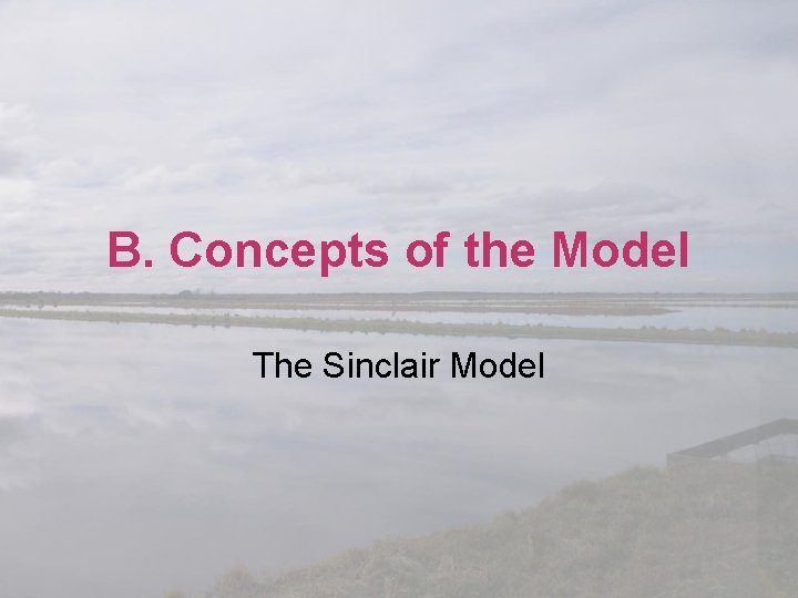 B. Concepts of the Model The Sinclair Model 