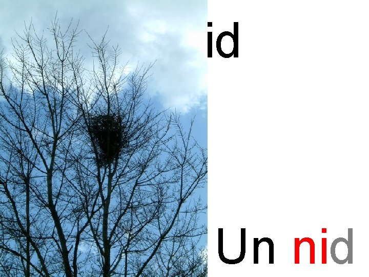 ni nid Un nid 