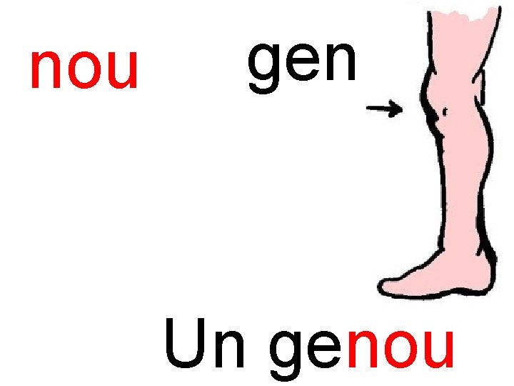 nou genou Un genou 