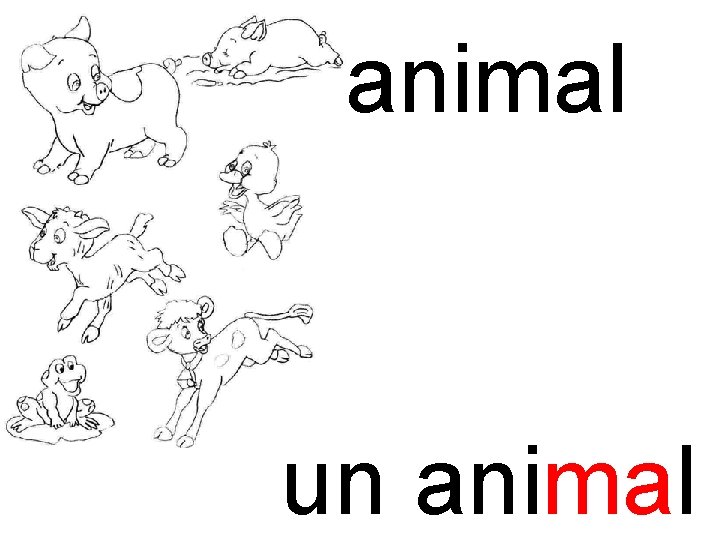 ma animal un animal 