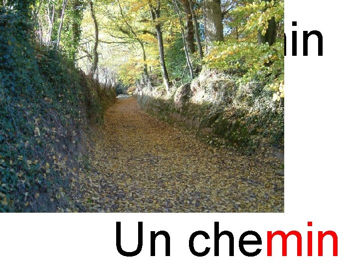 min chemin Un chemin 