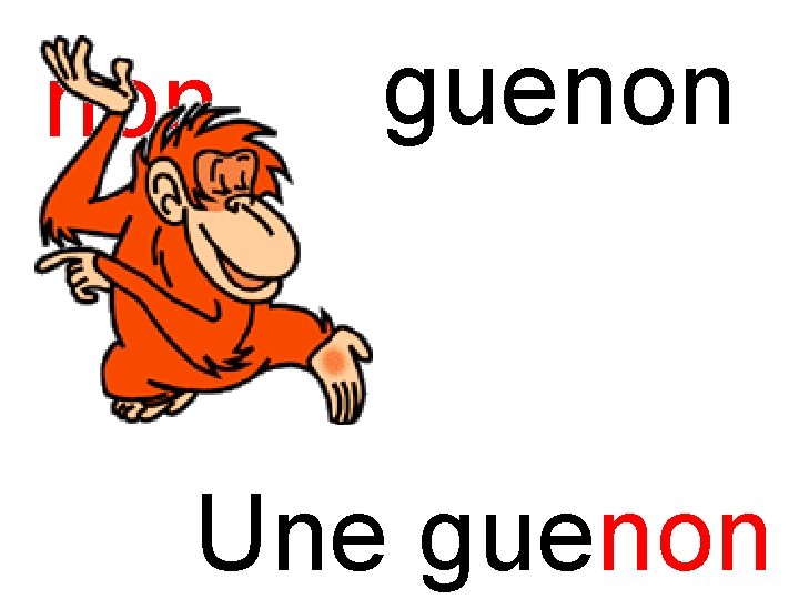 non guenon Une guenon 