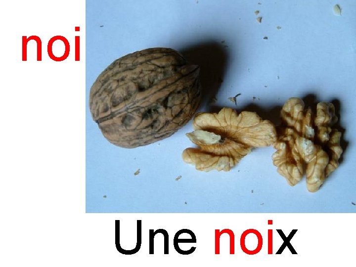noi noix Une noix 