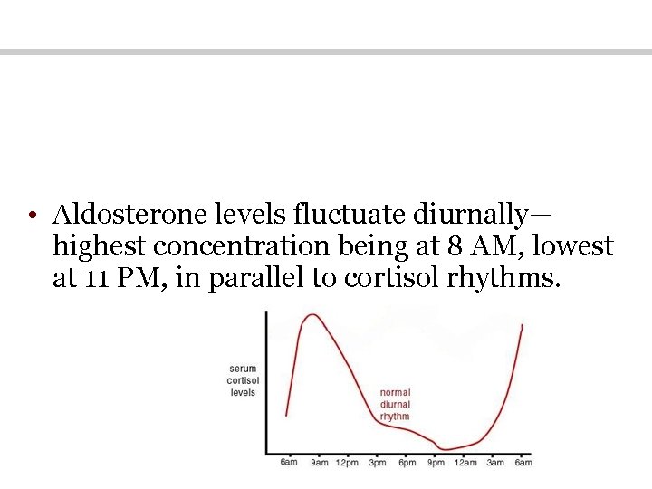 • Aldosterone levels fluctuate diurnally— highest concentration being at 8 AM, lowest at