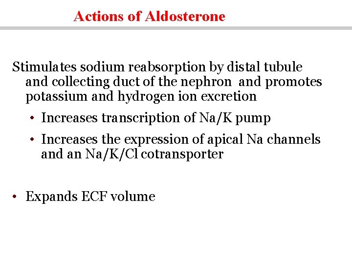 Actions of Aldosterone Stimulates sodium reabsorption by distal tubule and collecting duct of the