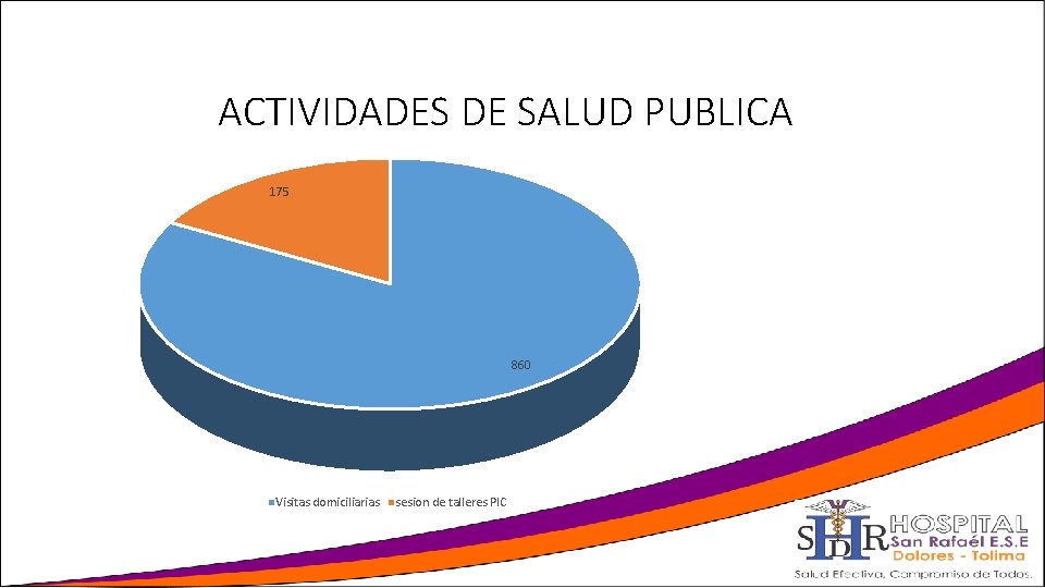 ACTIVIDADES DE SALUD PUBLICA 175 860 Visitas domiciliarias sesion de talleres PIC 