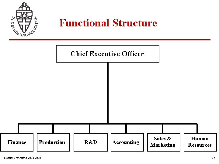 Functional Structure Chief Executive Officer Finance Production Lecture 1 © Furrer 2002 -2008 R&D