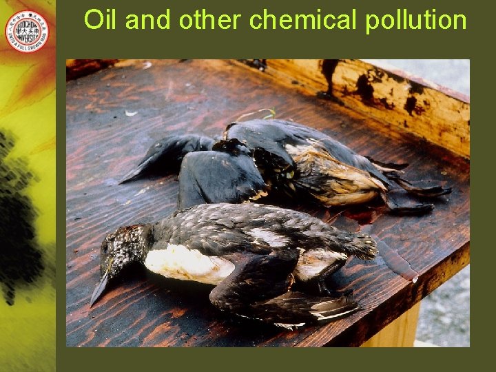 Oil and other chemical pollution • Oil pollution of the marine environment is a