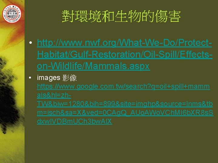 對環境和生物的傷害 • http: //www. nwf. org/What-We-Do/Protect. Habitat/Gulf-Restoration/Oil-Spill/Effectson-Wildlife/Mammals. aspx • images 影像 https: //www. google.