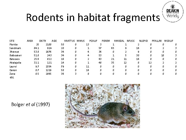 Rodents in habitat fragments SITE Florida Sandmark 34 street Balboaterr Katesess Altalajolla Laurel Canon