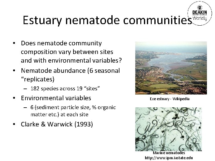 Estuary nematode communities • Does nematode community composition vary between sites and with environmental