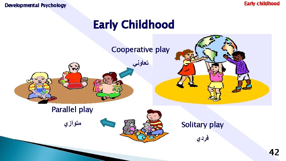 Early childhood Developmental Psychology Early Childhood Cooperative play ﺗﻌﺎﻭﻧﻲ Parallel play ﻣﺘﻮﺍﺯﻱ Solitary play