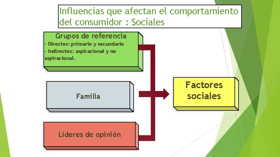 Influencias que afectan el comportamiento del consumidor : Sociales Grupos de referencia - Directos: