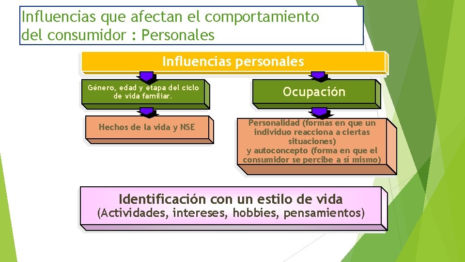 Influencias que afectan el comportamiento del consumidor : Personales Influencias personales Género, edad y