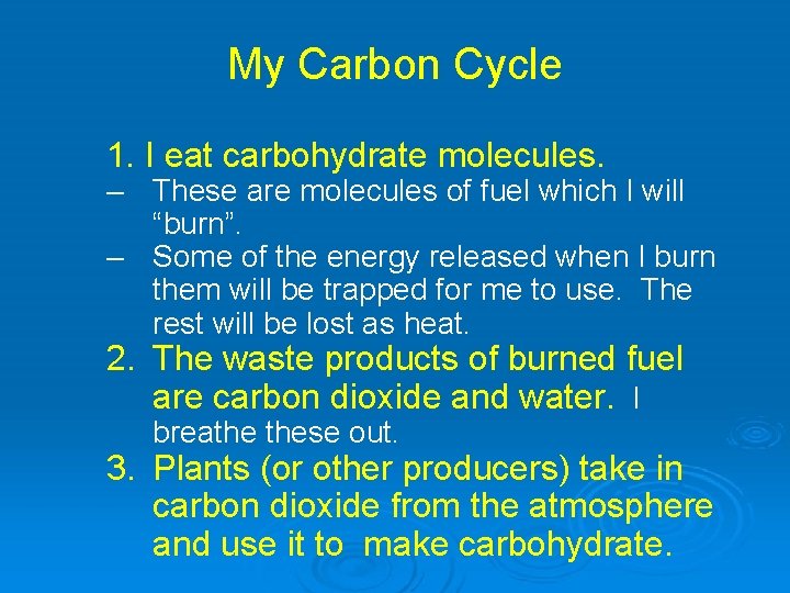 My Carbon Cycle 1. I eat carbohydrate molecules. – These are molecules of fuel