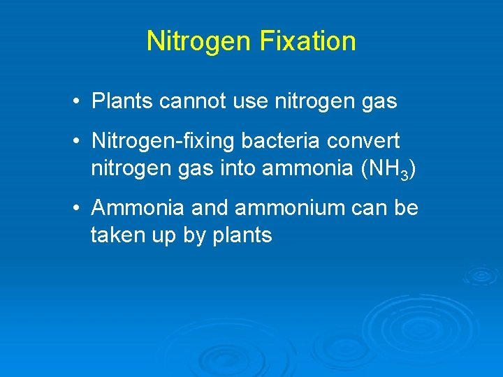 Nitrogen Fixation • Plants cannot use nitrogen gas • Nitrogen-fixing bacteria convert nitrogen gas