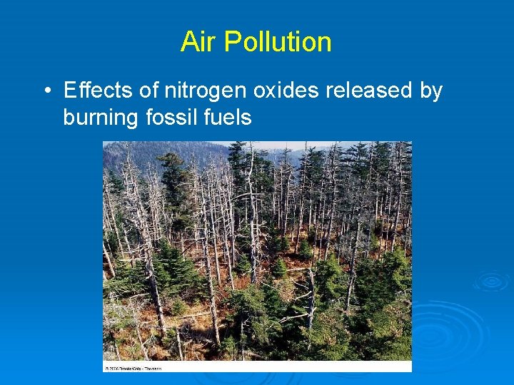 Air Pollution • Effects of nitrogen oxides released by burning fossil fuels 