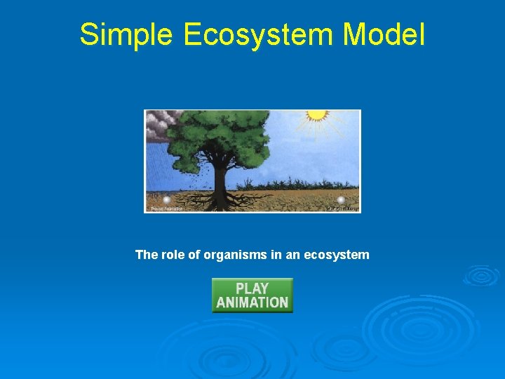 Simple Ecosystem Model The role of organisms in an ecosystem 