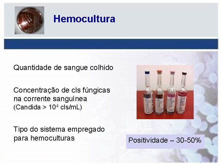 Hemocultura Quantidade de sangue colhido Concentração de cls fúngicas na corrente sanguínea (Candida >