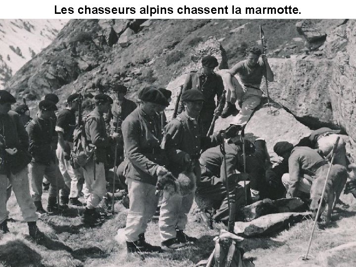 Les chasseurs alpins chassent la marmotte. 