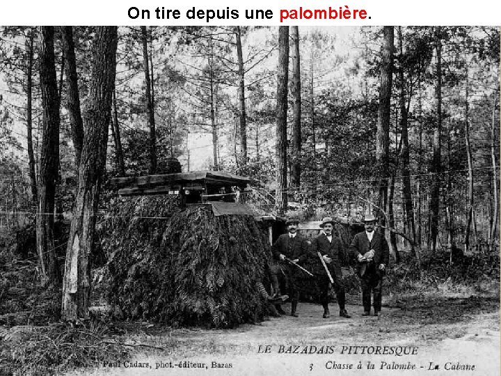 On tire depuis une palombière 