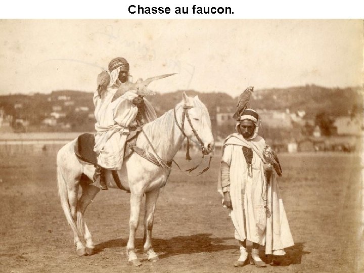 Chasse au faucon. 