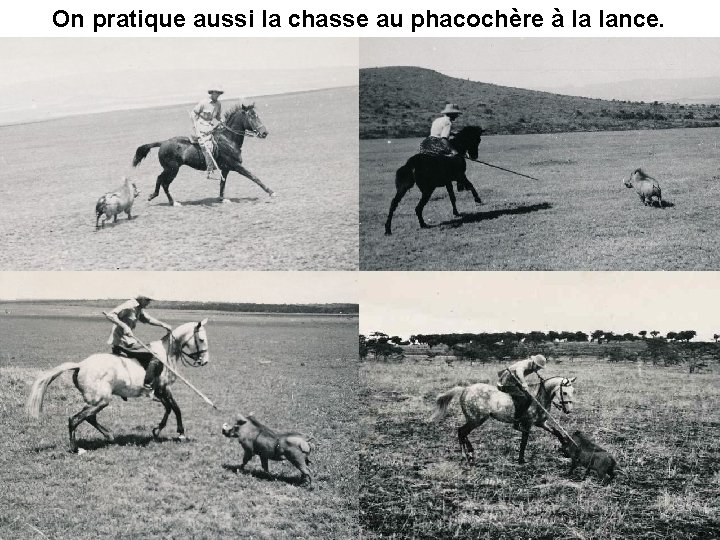 On pratique aussi la chasse au phacochère à la lance. 