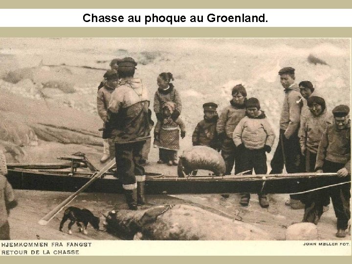 Chasse au phoque au Groenland. 