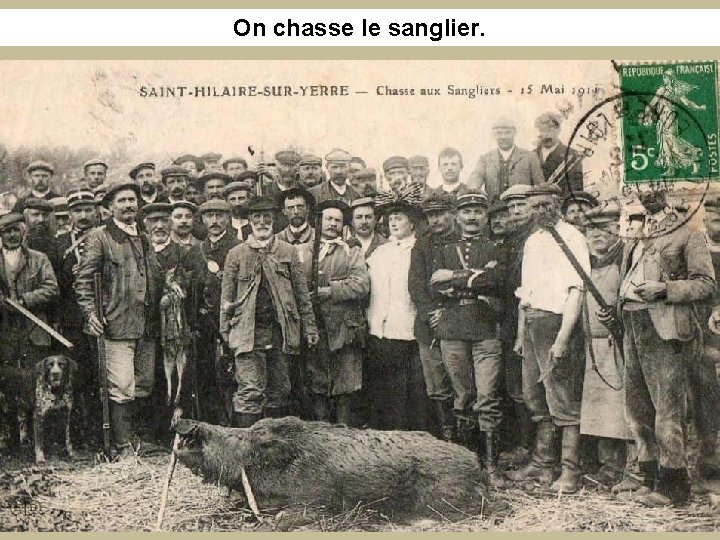 On chasse le sanglier. 