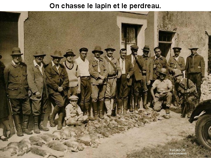 On chasse le lapin et le perdreau. PATAGON DIAPORAMAS 