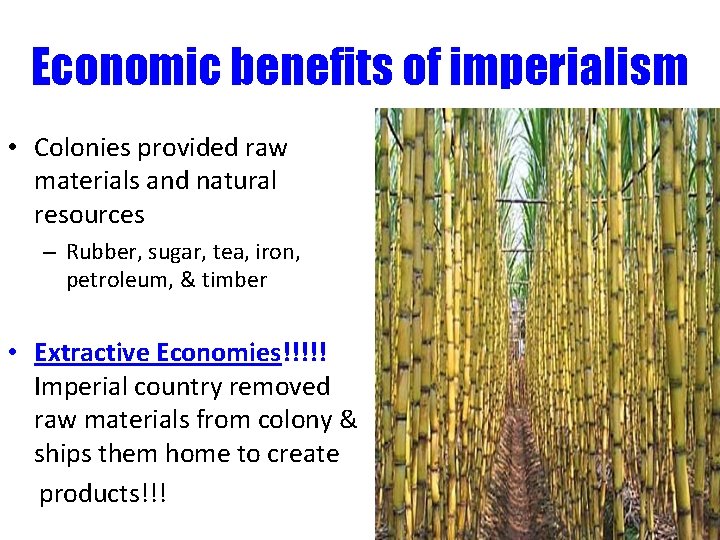 Economic benefits of imperialism • Colonies provided raw materials and natural resources – Rubber,
