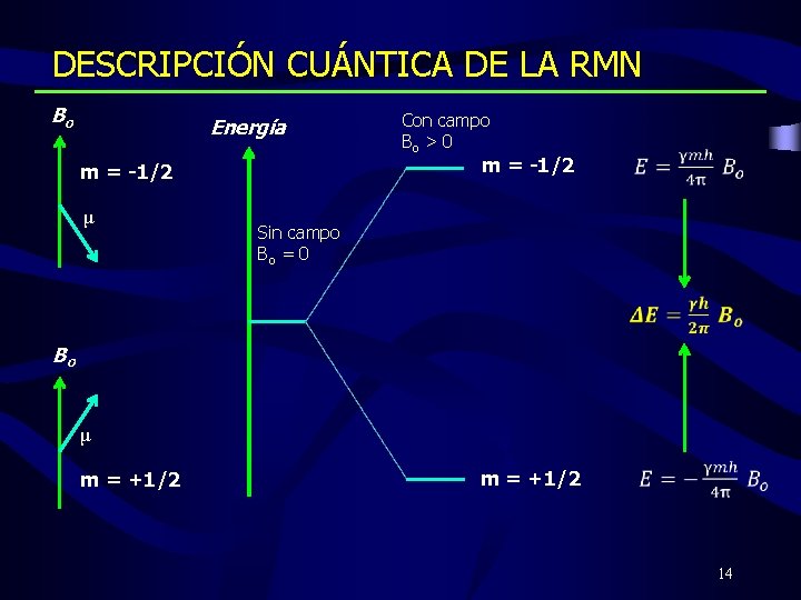 DESCRIPCIÓN CUÁNTICA DE LA RMN Bo Energía m = -1/2 μ Con campo Bo