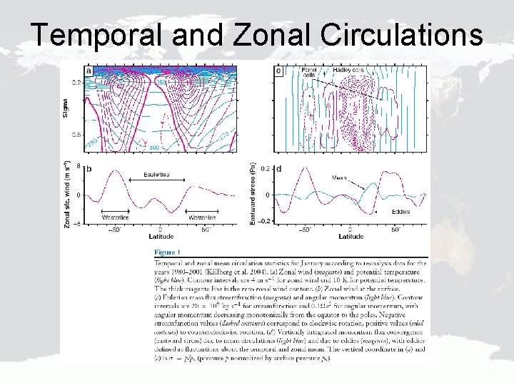 Temporal and Zonal Circulations 