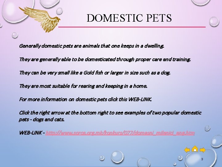 DOMESTIC PETS Generally domestic pets are animals that one keeps in a dwelling. They