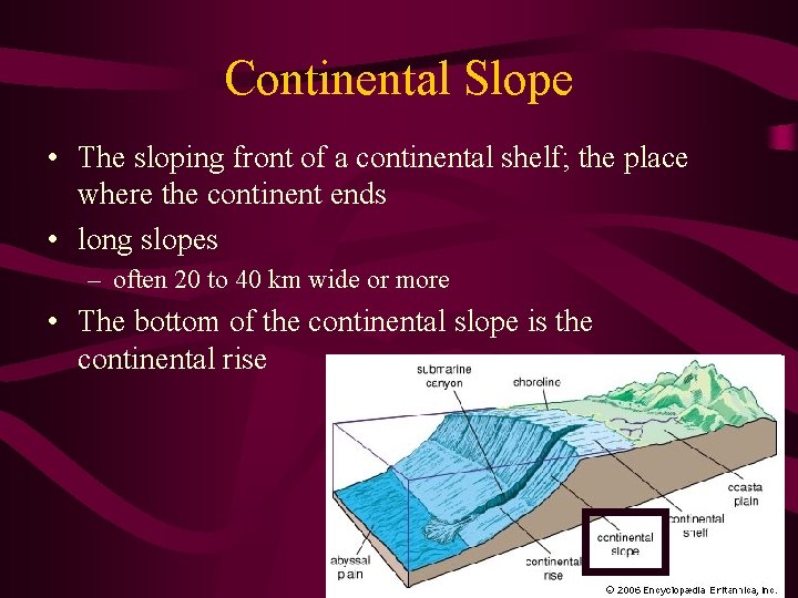 Continental Slope • The sloping front of a continental shelf; the place where the