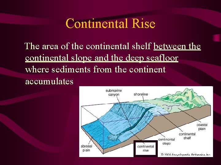 Continental Rise The area of the continental shelf between the continental slope and the