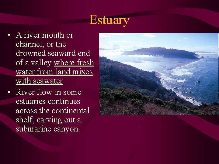 Estuary • A river mouth or channel, or the drowned seaward end of a