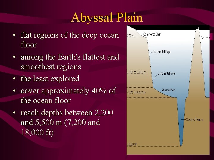 Abyssal Plain • flat regions of the deep ocean floor • among the Earth's