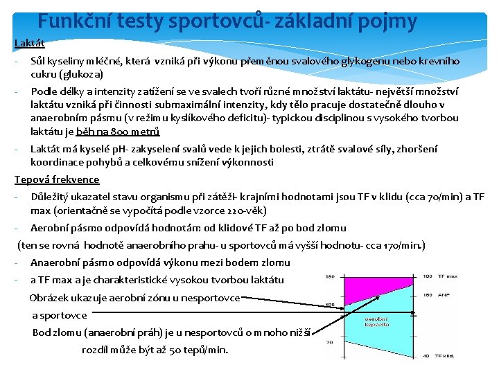 Funkční testy sportovců- základní pojmy Laktát - Sůl kyseliny mléčné, která vzniká při výkonu