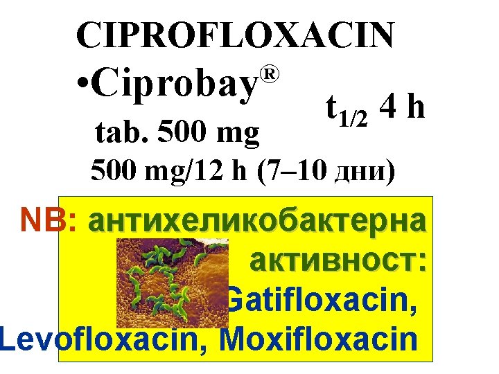 CIPROFLOXACIN ® • Ciprobay tab. 500 mg t 1/2 4 h 500 mg/12 h