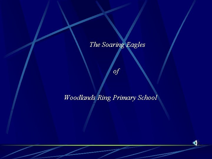 The Soaring Eagles of Woodlands Ring Primary School 