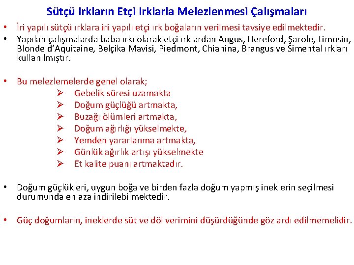 Sütçü Irkların Etçi Irklarla Melezlenmesi Çalışmaları • İri yapılı sütçü ırklara iri yapılı etçi